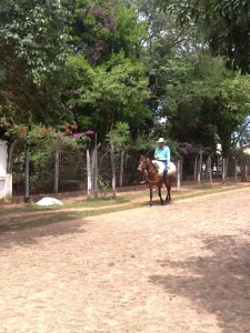 turquoise horse rider